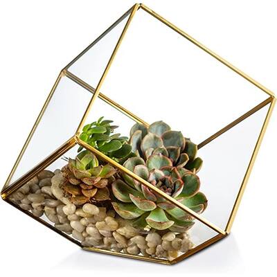 Kook Square Terrarium