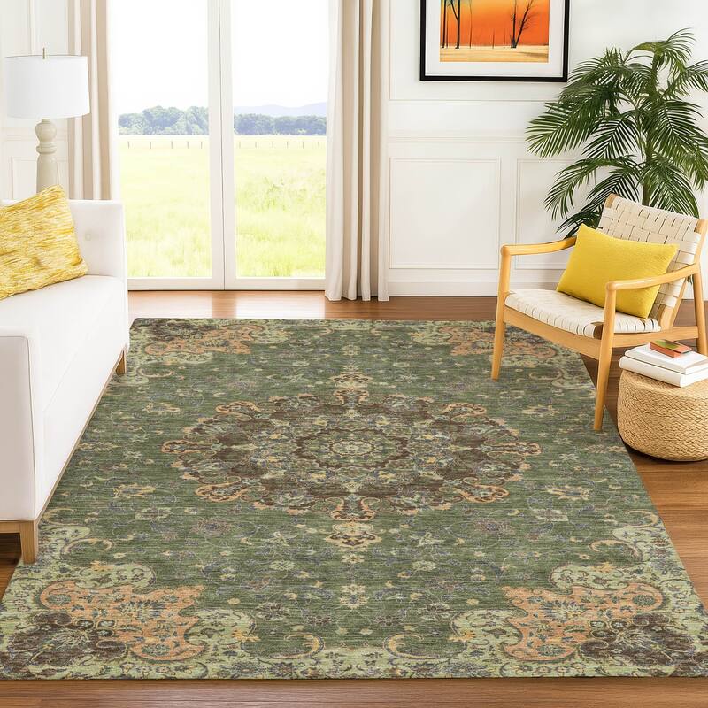Machine Washable Indoor/ Outdoor Traditional Awaka Chantille Rug