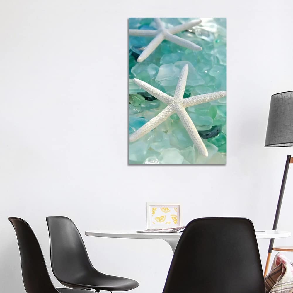 iCanvas "Seaglass 1" by Alan Blaustein Canvas Print