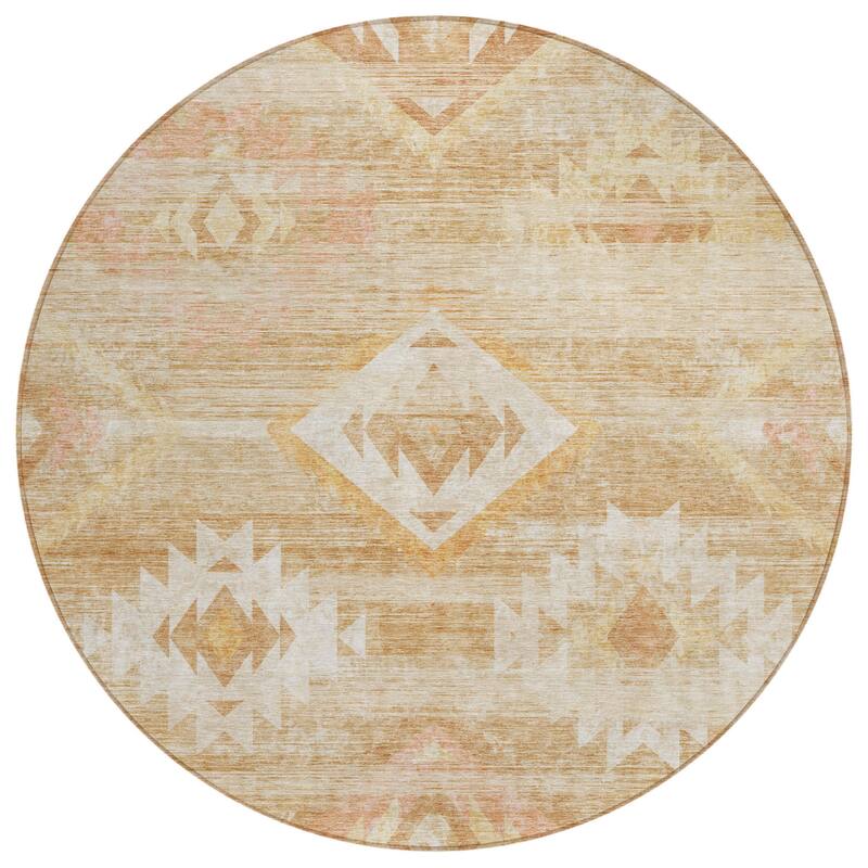 HomeRoots Southwestern Transitional Rectangle Outdoor Rug