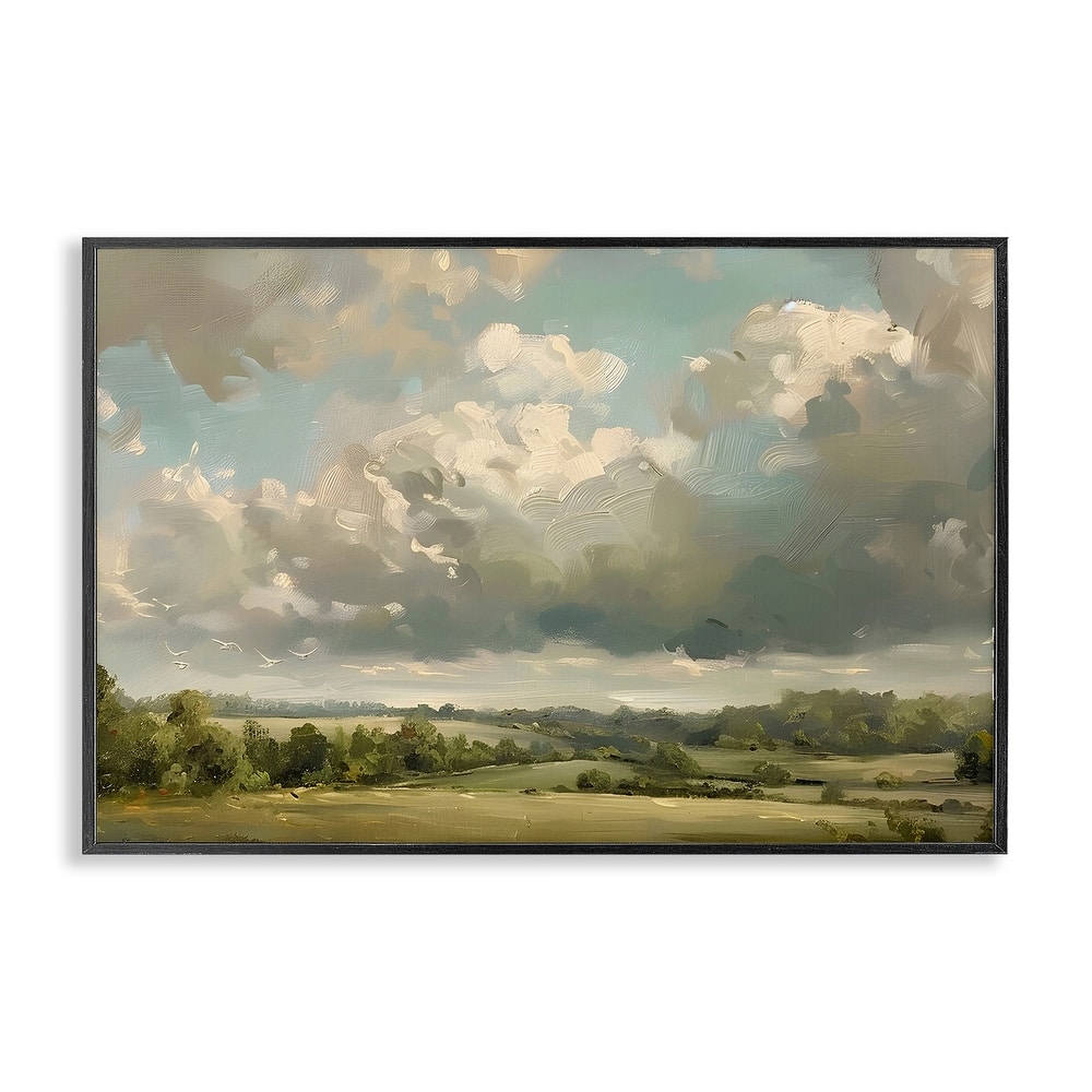 Stupell Sunlit Clouds over Countryside Framed Giclee Art Design By LSR Creative Studio