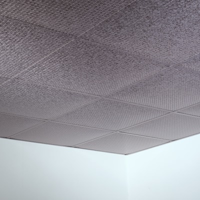 FASÄDE Square Decorative Vinyl 2ft x 2ft Lay in Ceiling Panel in Galvanized Steel (5 Pack)
