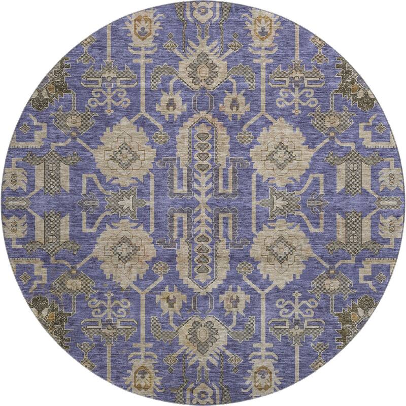 Premium Washable Super Soft Traditional Global Mayfield Rug
