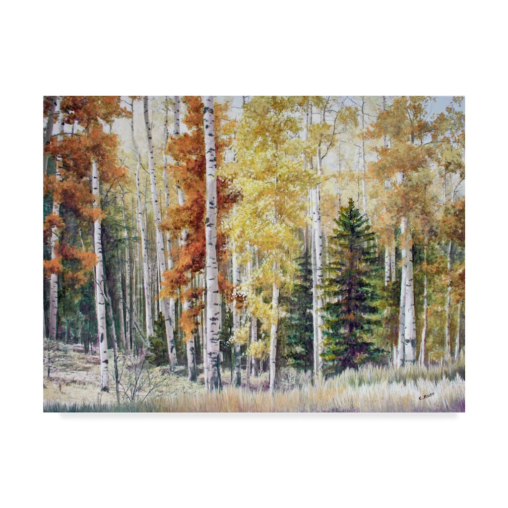 Carol J Rupp 'Angel Fire Aspens' Canvas Art
