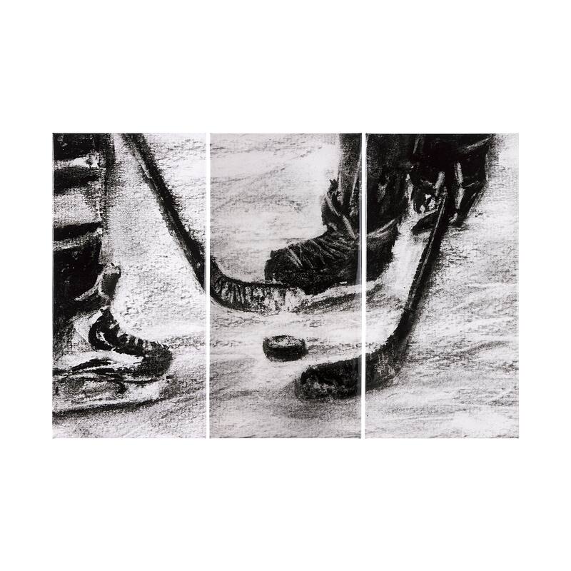Sports Collection Hockey (Set of 3) (30 x 60) Canvas Art Print - Large