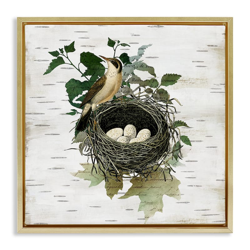 Stupell Vintage Bird Nest & Flora Framed Floater Canvas Wall Art Design By Susan Arnot - 18 x 18 - Gold