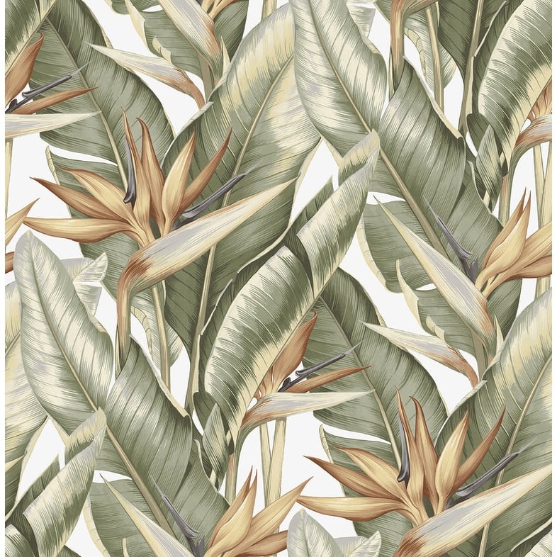 Kenneth James Arcadia Light Green Banana Leaf Wallpaper - 20.5in x 396in x 0.025in