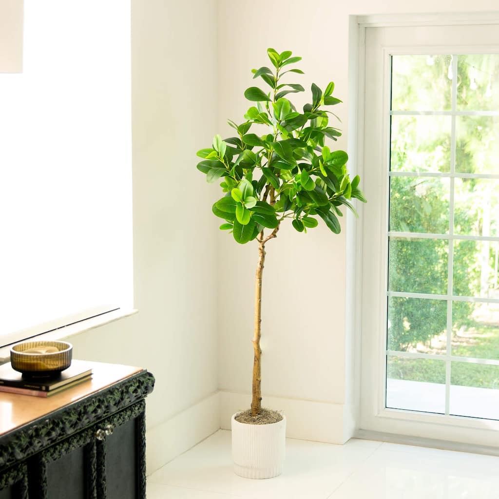 Audrey Ficus Artificial Potted Tree - 6' - Unlit