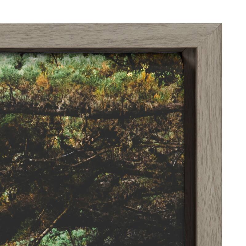 Kate and Laurel Sylvie Road Tripping Framed Canvas by Patricia Hasz of Patricia Rae Photography