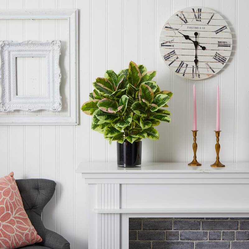 Artificial Cactus Plants Set of 3 - 8 Inch Succulent Decor Home Office Southwestern Style - Green - 24