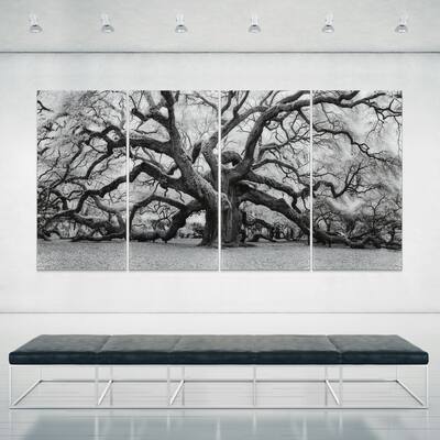 "The Angel Oak ABCD" Frameless Free Floating Tempered Glass Panel Graphic Wall Art Set of 4