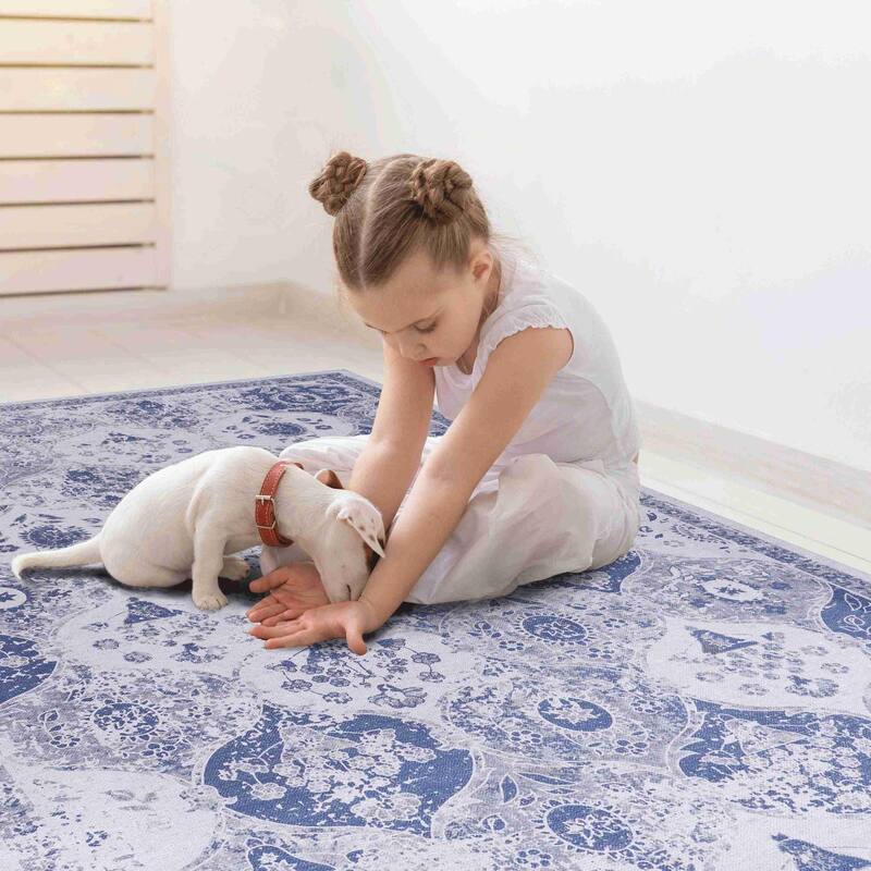 Rustic Rustic Multi-Color Washable Rug