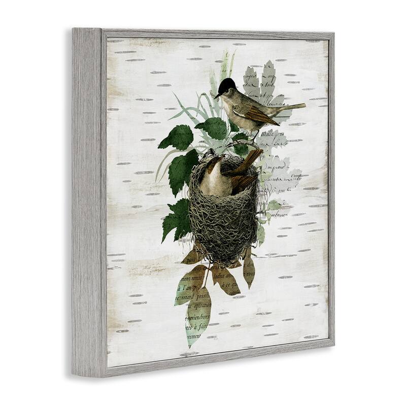 Stupell Birds in Vintage Nest Framed Giclee Art Design By Susan Arnot