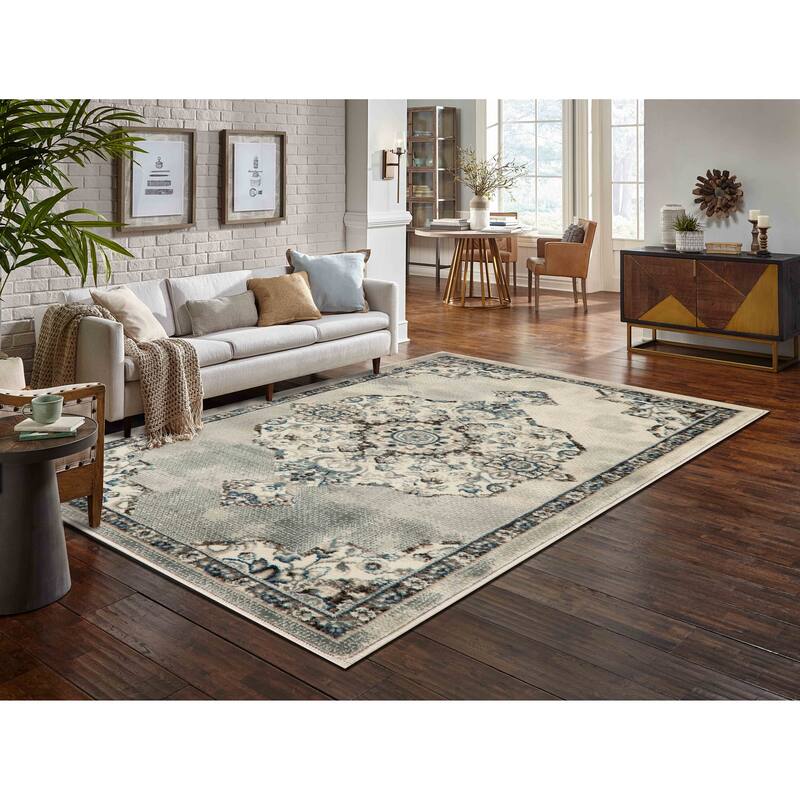 Anila Collection Transitional Oriental Area Rug