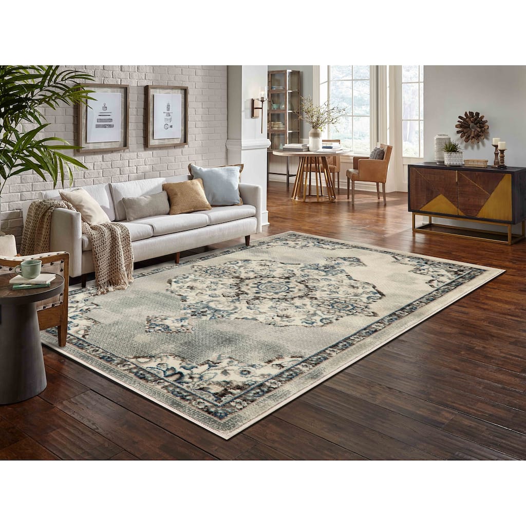 Anila Collection Transitional Oriental Area Rug