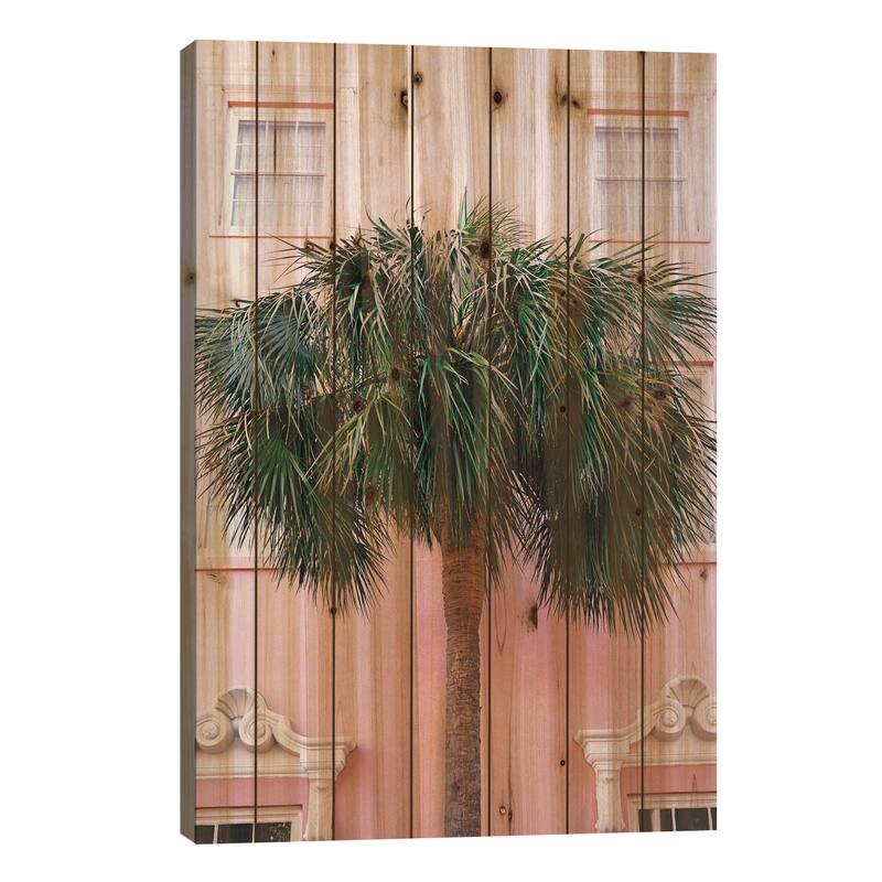 Charleston Pink Print On Wood by Bethany Young - Multi-Color - 26x18x1.5