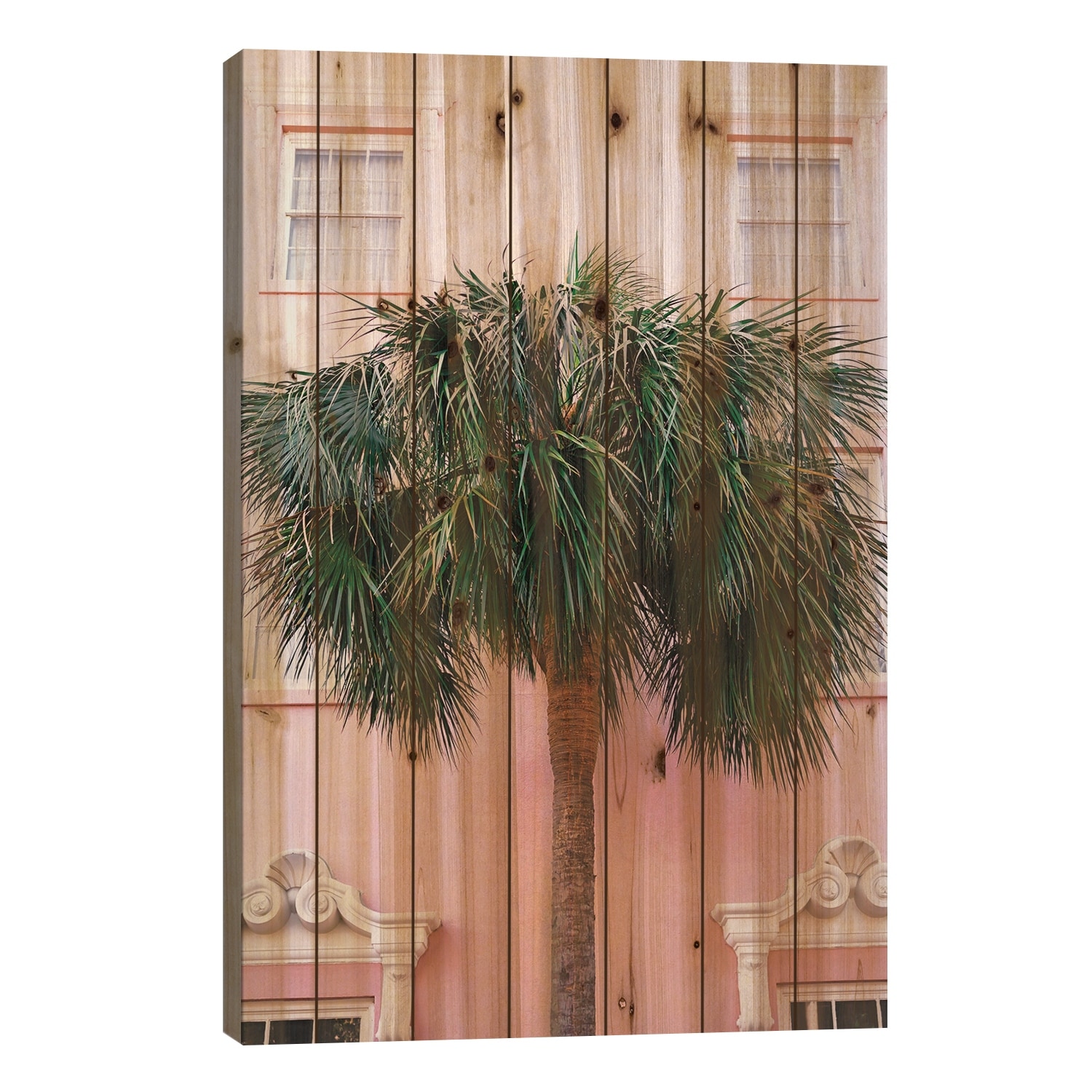 Charleston Pink Print On Wood by Bethany Young - Multi-Color