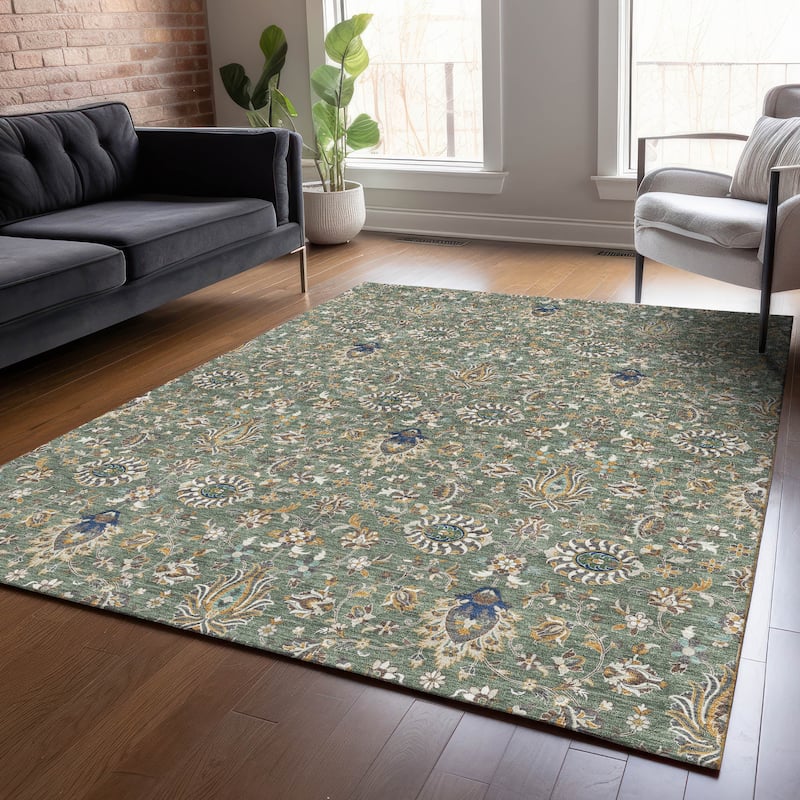 Machine Washable Indoor/Outdoor Traditional Persian Chantille Rug