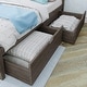 preview thumbnail 8 of 28, Max and Lily Full-Size Bed with Panel Headboard and Storage Drawers