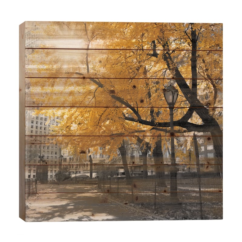 Park Pretty II Print On Wood by Assaf Frank - Multi-Color - 26x26x1.5
