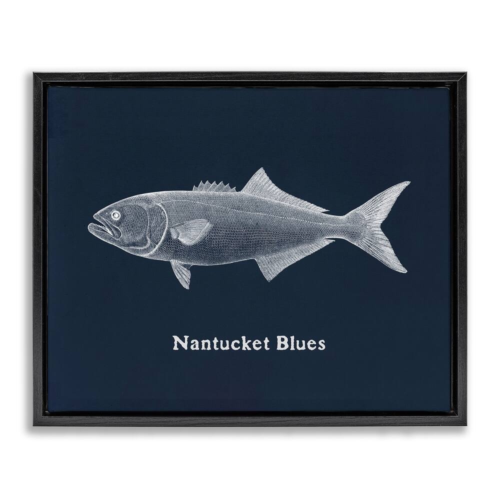 Stupell Nantucket Blues Fish Framed Floater Canvas Wall Art Design By Phillipa Katz