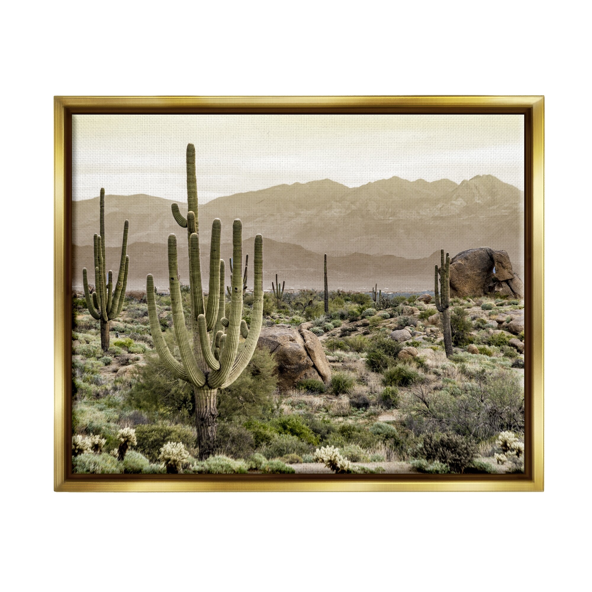 【送料関税無料】 Stupell Rocky Wall Canvas Floater Framed Landscape Desert 絵画