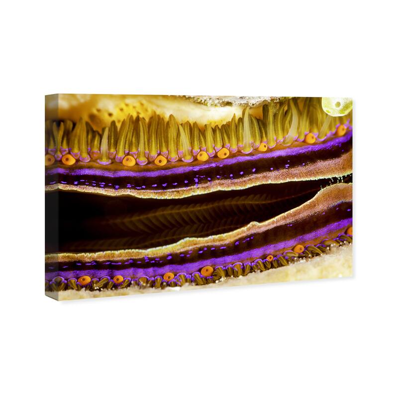 Wynwood Studio Nautical and Coastal David Fleetham - Coral Boring Scallop II Yellow Nautical & Coastal Wall Art Canvas Print