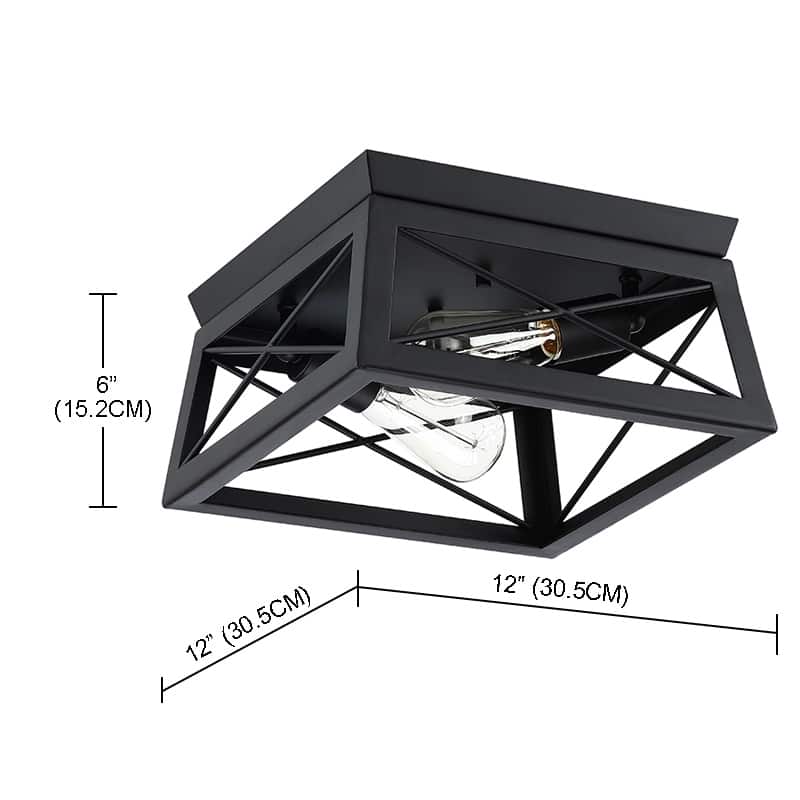 2 Light Caged Square/Rectangle Flush Mount Fixture