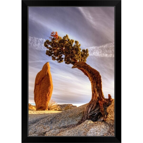 "Balance rock and bonzai tree" Black Framed Print