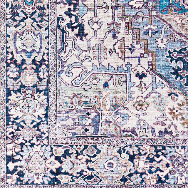 Adenia Vintage Medallion Printed Area Rug