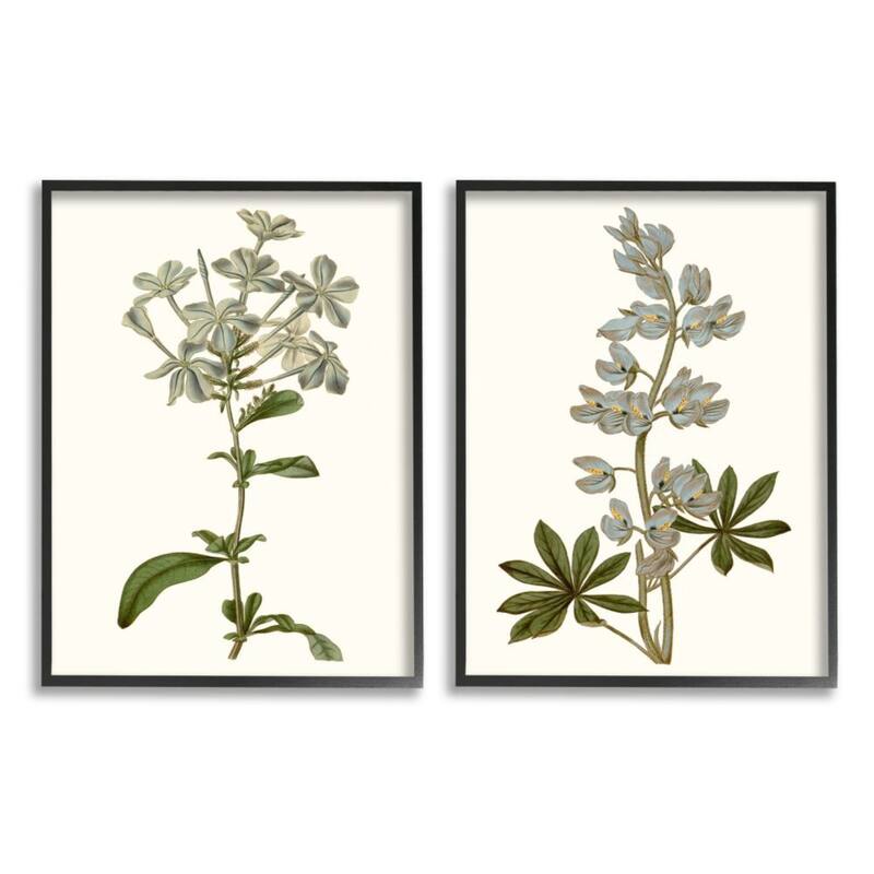 Stupell Vintage Illustrated Study of Blue Botanical Florals, 2pc Multi Piece Framed Wall Art Set - 16 x 20 - Black