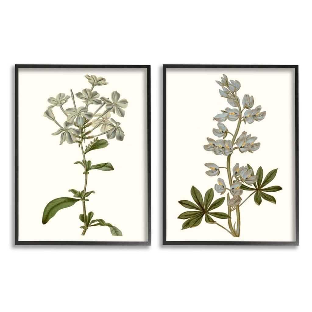 Stupell Vintage Illustrated Study of Blue Botanical Florals, 2pc Multi Piece Framed Wall Art Set