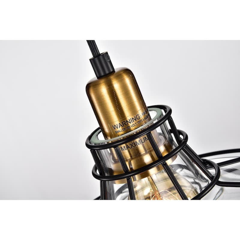 Black and Antique Gold 1-Light Pendant with Clear Glass Shade