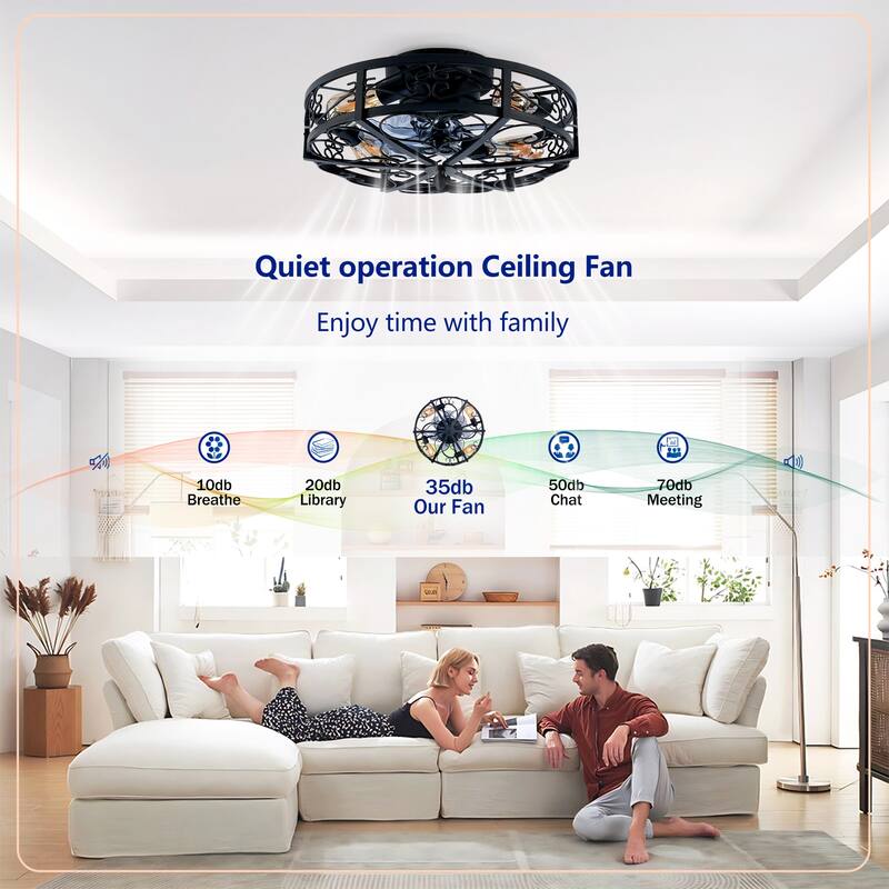 20Inch Farmhouse Ceiling Fans with Remote Control,6 Speed Reversible Flush Mount Low Profile Rustic Ceiling Fan - N/A