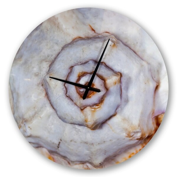Designart 'Great Skeleton of Sea Shell' Oversized Coastal Wall CLock. Opens flyout.