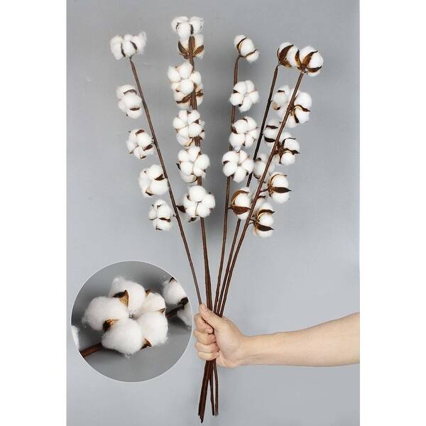 Shop 6 Pack 27 Inch Cotton Stems Farmhouse Decor Rustic Style Vase