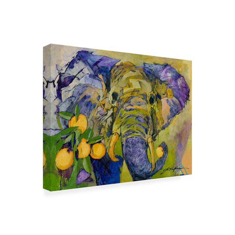 Yuval Wolfson 'Elephant and Oranges' Canvas Art