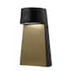 Option Carbon Black/Champagne Gold