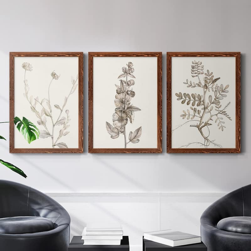 Neutral Botanical Study IV-Premium Framed Canvas - Ready to Hang - Multi-Color