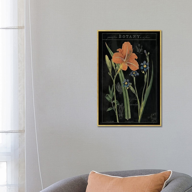 iCanvas "Vintage Flora II On Black" by Sue Schlabach Framed Canvas Print