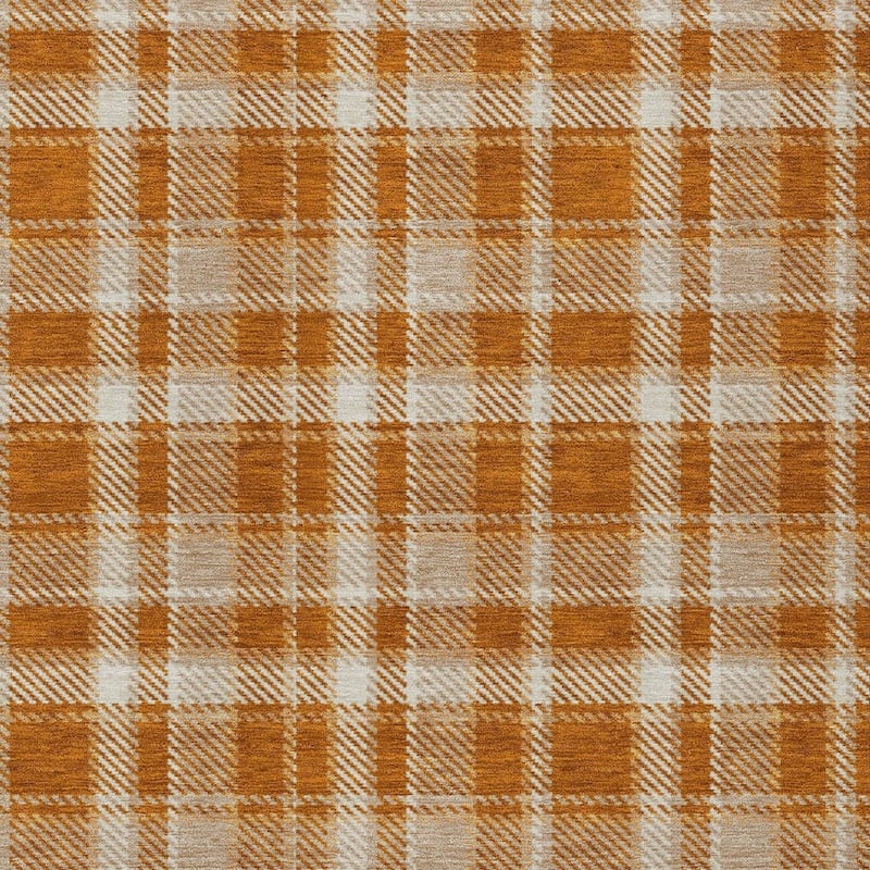 Alsimi Plaid Long-Lasting Vibrance Blended Style Outdoor Rug - 10' X 14'