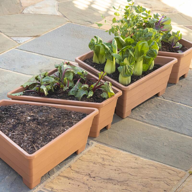 20 in. Plastic Modular Planters (Set of 4)