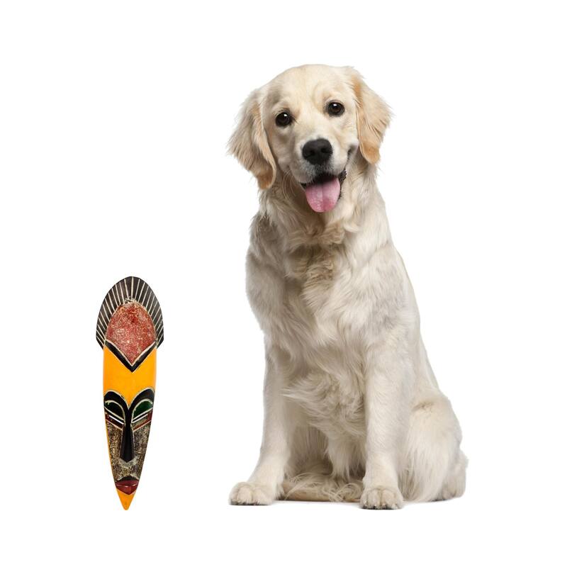 Handmade Sese Wood 'Protect the Jungle' African Mask (Ghana) - multi