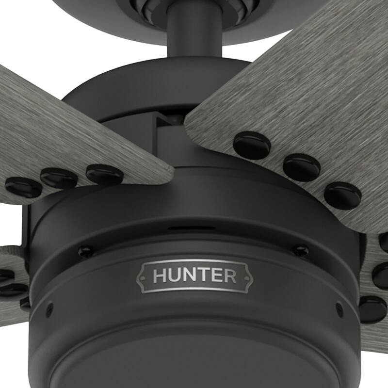 Hunter 52" Burton Outdoor Ceiling Fan and Wall Control - Farmhouse, Industrial, Transitional - Damp Rated - Exclusive SureSpeed!