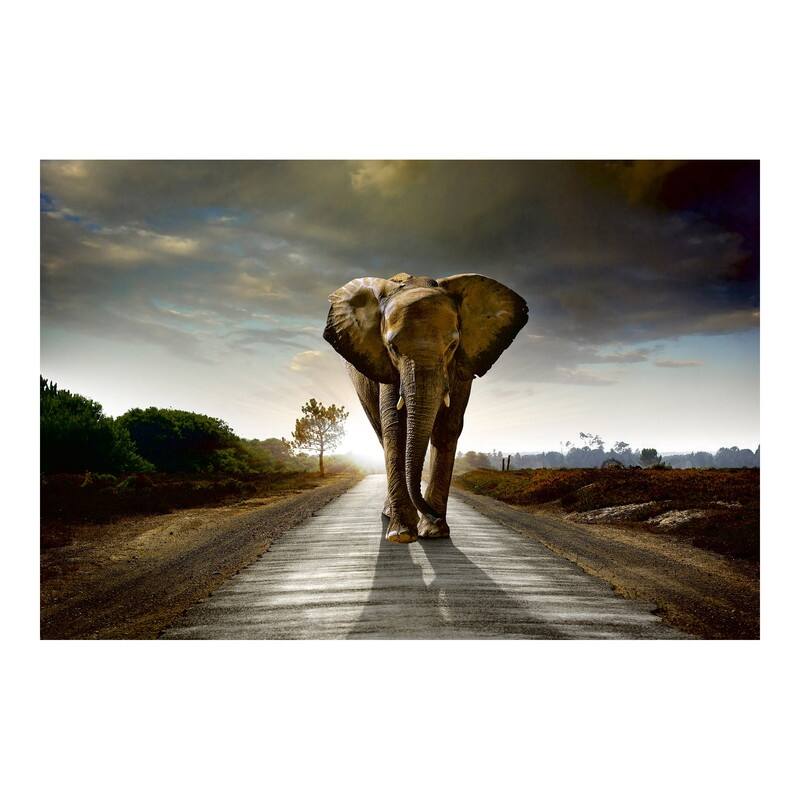 Dimex Walking Elephant Wall Mural