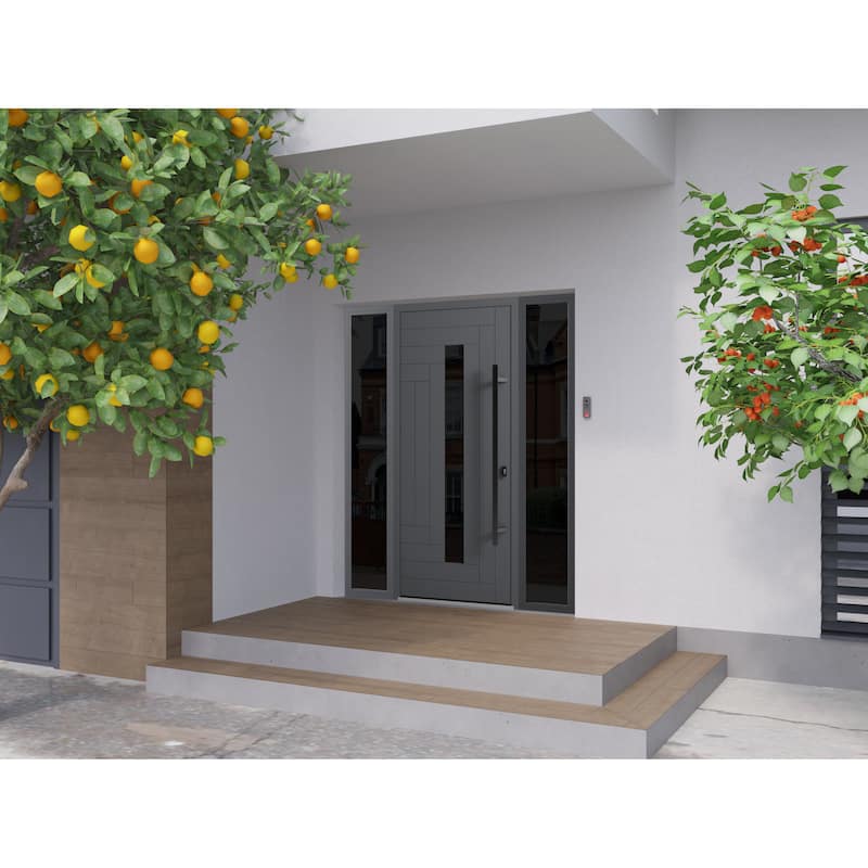 Front Prehung Steel Door Ronex 1011 Grey Side and Top Window Sidelite Stainless Inserts W36+12xH80+16 Lh I