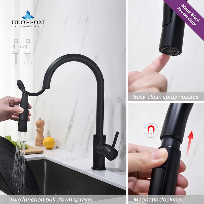 Blossom Solid Pull-Down Kitchen Faucet w/ 360 Swivel, Single Handle