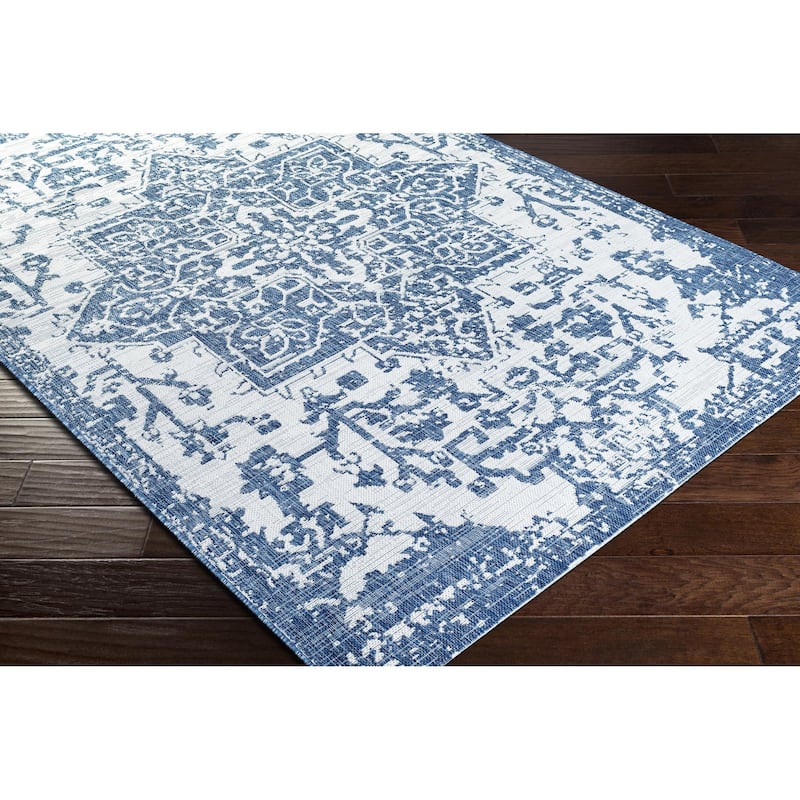 Livabliss Eagean Updated Traditional Medallion Indoor / OutdoorArea Rug