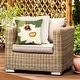 preview thumbnail 1 of 6, Lush Decor Frontporch Ladybug Indoor/Outdoor Pillow Green 18" x 18" Accent - 18" x 18" - Polyester - Green