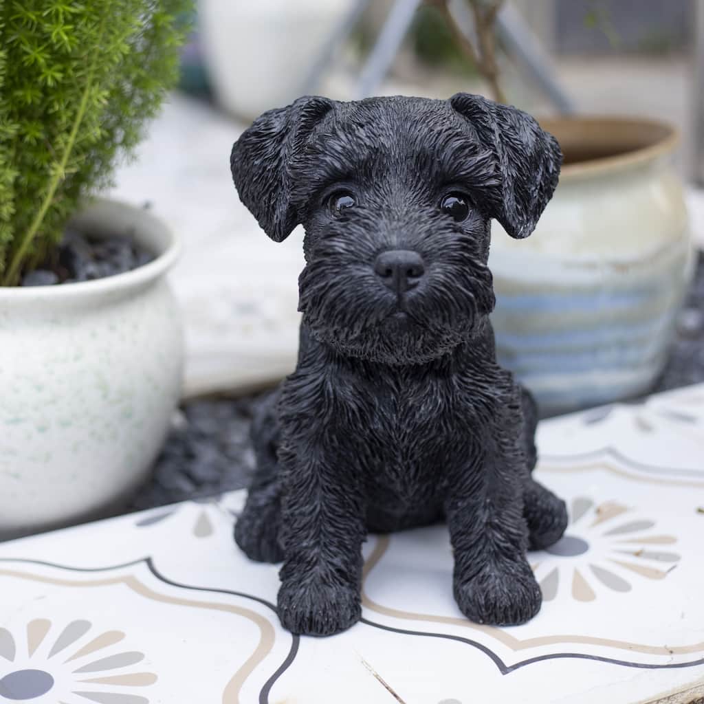 Sitting Baby Schnauzer Outdoor Garden Statue - 10.25" - Black